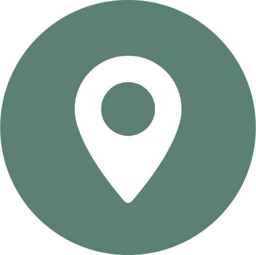 google map icon