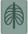X-RAY icon