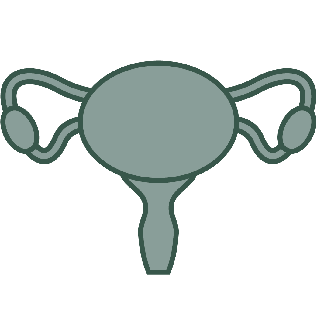 สูติ นรีเวช icon